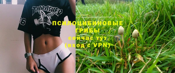 ешки Алексеевка