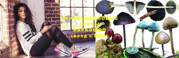 MESCALINE Алзамай